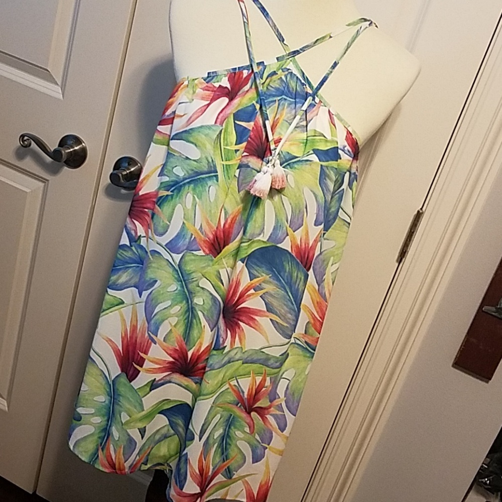 Show me your Mumu Mini Dress